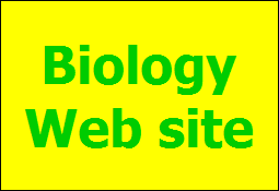 Biology
Web site